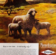 1947 DOW Industrial Chemical Advertisement Industry Phenothiazine DWWW3