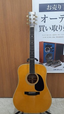 CAT'S EYES CE-300 Acoustic Guitar