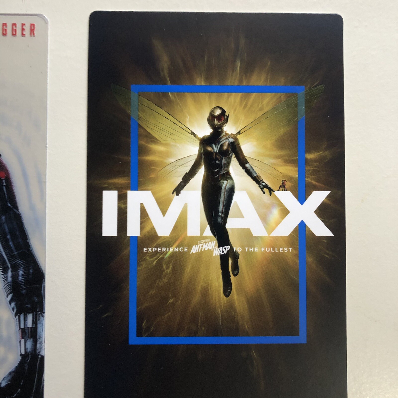 Regal on X: IMAX Poster for 'Ant-Man and the Wasp: Quantumania