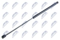 AE-FR-007 NTY Luftfederung, GepäCkraumdeckel / Ladebereich FüR Ford, MAZ