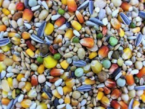 Matador ECO Taubenfutter 25 Kg – Für Zucht & Reise