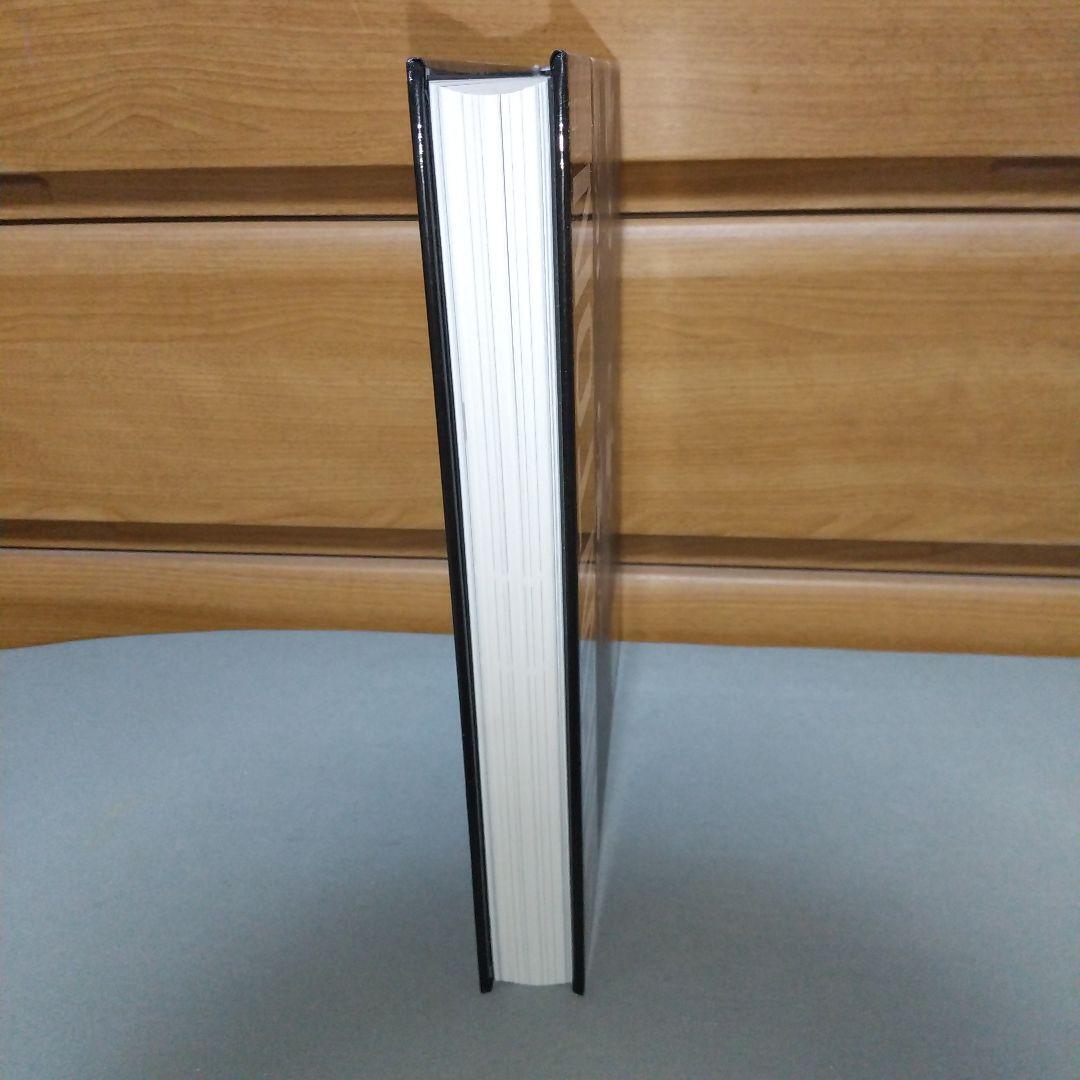 HELMUT NEWTON 1920-2004洋書【b4】