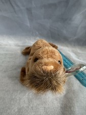 Ty Beanie Babies Paul The Walrus 1999 Plush Stuffed Animal Toy w Tag And Errors