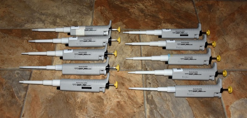 Lot of 10 Oxford BenchMate O20 2-20uL Manual Pipettes Nichiryo Adjustable AS-IS