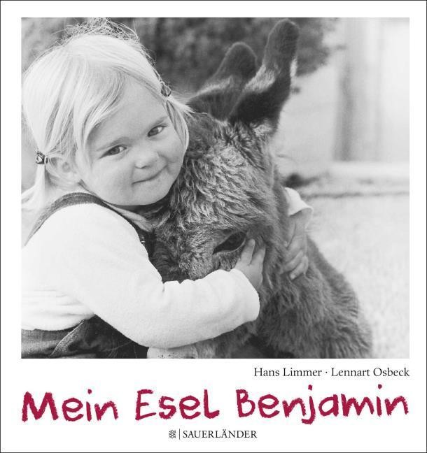 Mein Esel Benjamin Hans Limmer