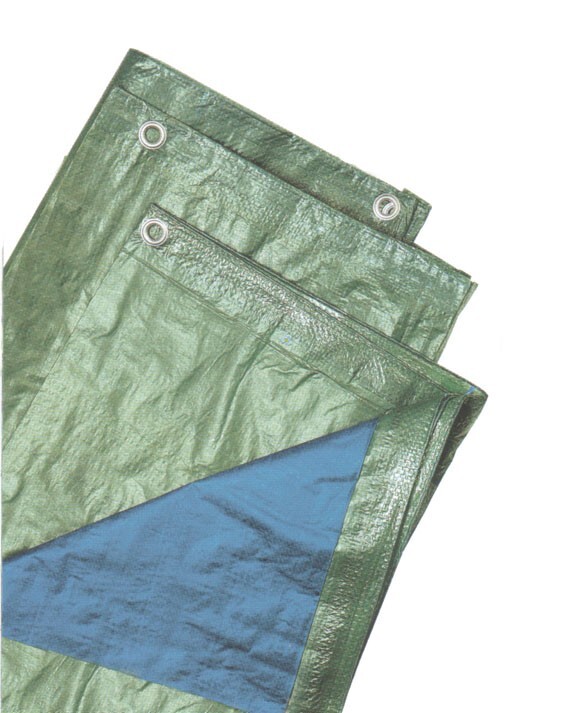 TELONE OCCHIELLATO 6x8 TELO,TAPPETO,CAMPEGGIO PROTEZIONE IMPERMEABILE MULTIUSO