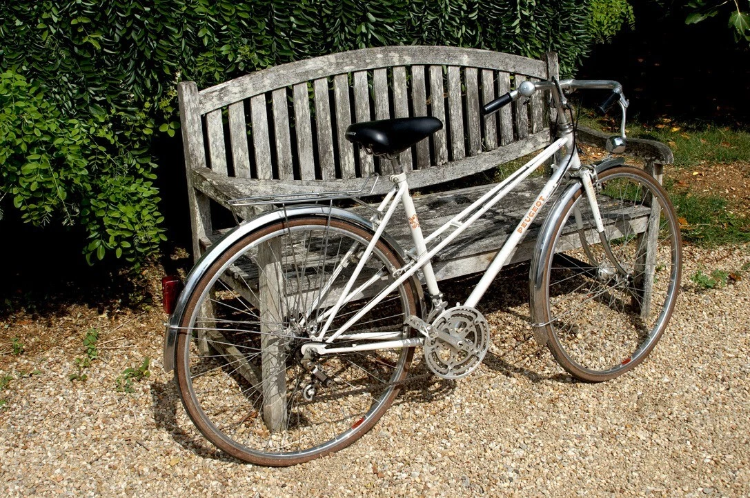 Vélo Ancien Peugeot – Homme – Roues 29 Pouces – 8 Vitesses – Occasion