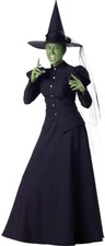 Costume Culture Wicked Musical Wizard of Oz Witch Adult Womens Halloween Costume