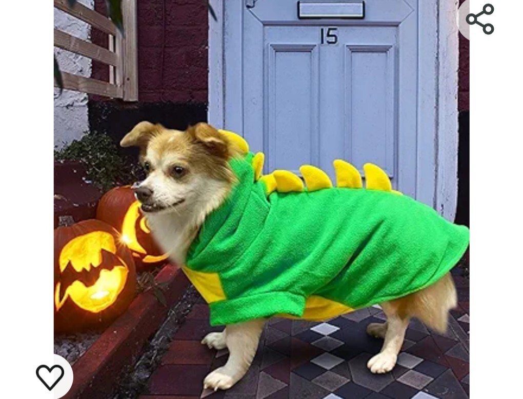 Lizard Costume For Pet