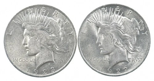 1923 & 1922 Peace Silver Dollar $1 Bullion Collection Lot *181
