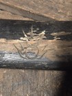 Vintage Wooden Japanese (Saya) Scabbard With An Etched Dragon Motif — photo 7