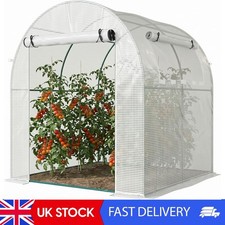 Walk In Polytunnel Greenhouse, Tomato Greenhouse With Roll-Up Window And Door,