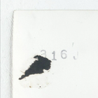 Picture 6 of 6