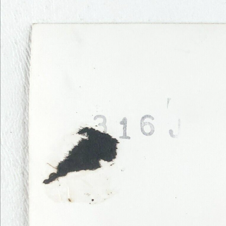 Picture 6 of 6