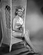 8x10 Print Sheree North Sexy Leggy Cheesecake Pin Up #SNEC