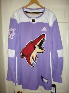 arizona coyotes hockey fights cancer