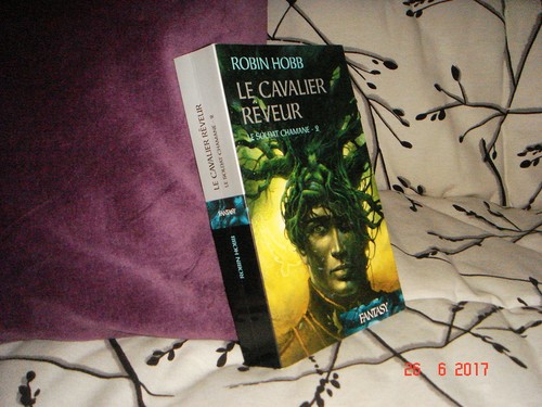 L 'ASSASSIN ROYAL 11 : LE DRAGON DES GLACES par ROBIN HOBB , 2005