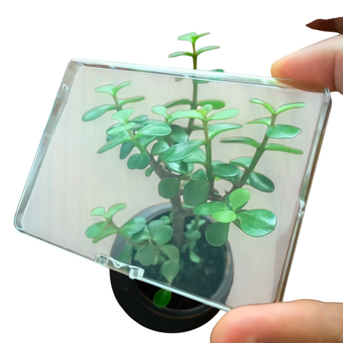 Cassette door / lid Cover For Sony WM-EX674/EX678/EX672/EX677