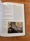 Foto 7 di 15