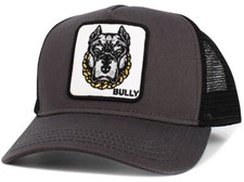 Pitbull Bulldog KB Ethos Bully Bulldog Black ...