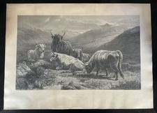 William Watson Scotch Cattle Western Higlands Engraving Antique Print