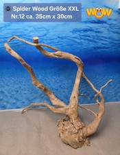 👋XXL Moorkien - Spiderwood Aquarium Wurzel