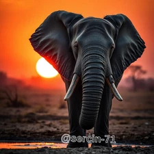 Digital Image Picture Photo Wallpaper Background Desktop AI Art Sample Product