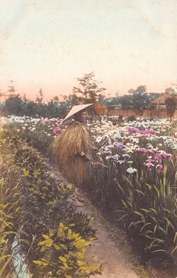 Japanese Village man In His Straw Coat Japan Postcard
