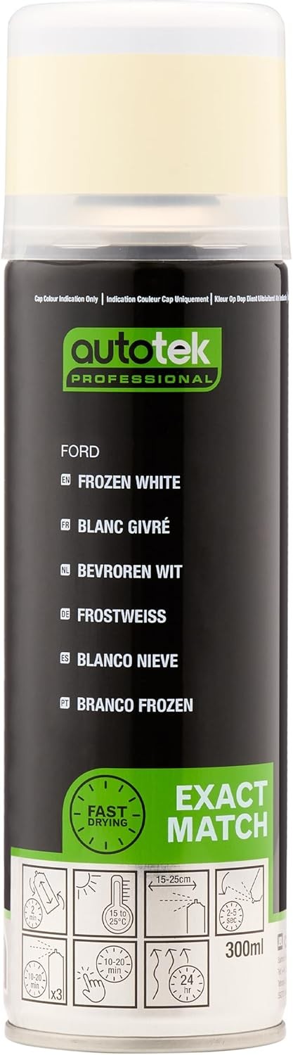 AutoTek Professional Exact Match Car Spray Paint, Ford Frozen White Aerosol Spr