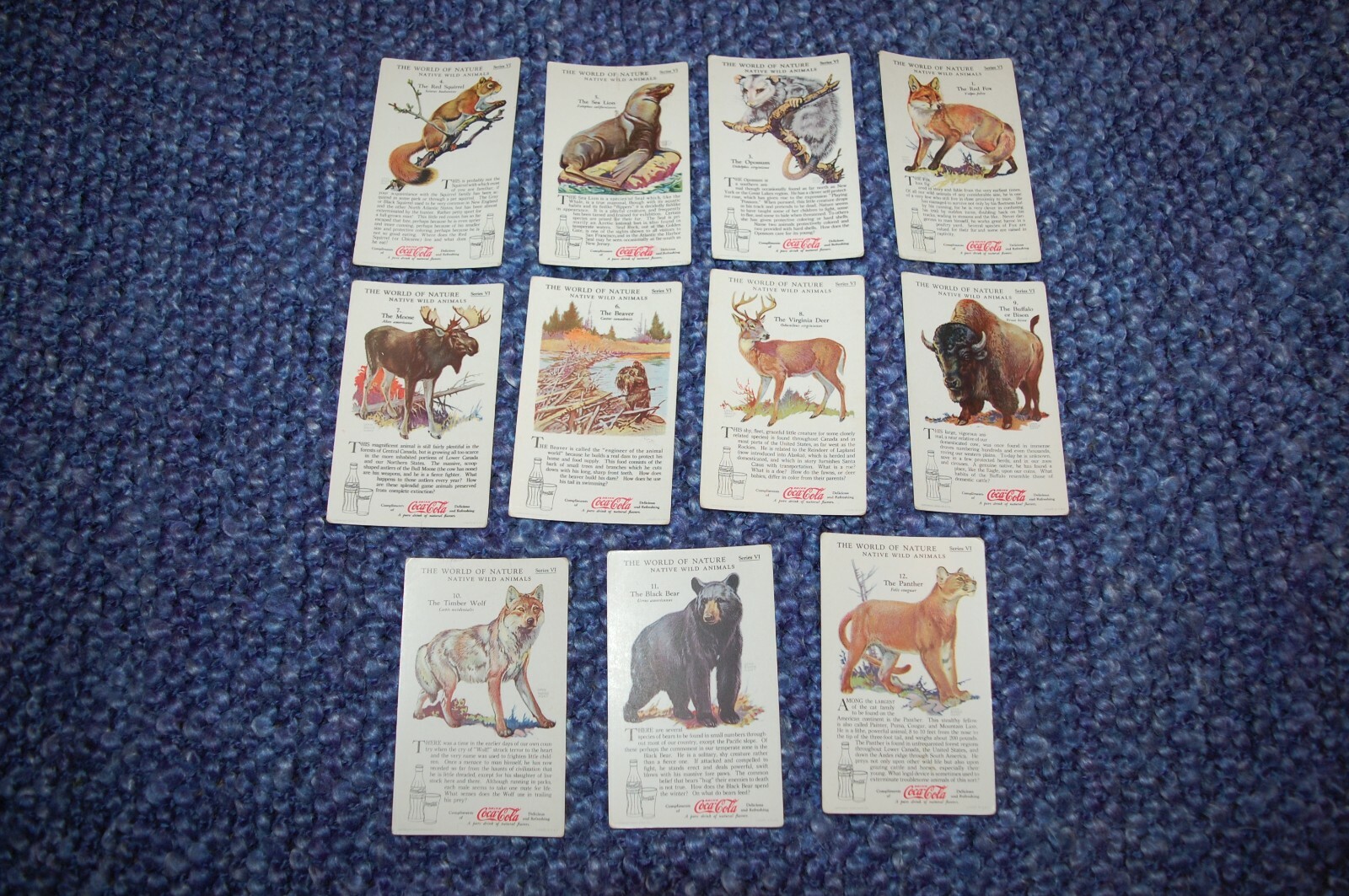 VINTAGE COCA-COLA NATURE STUDY CARDS SERIES VI NATIVE WILD ANIMALS 1930's | eBay VINTAGE COCA-COLA NATURE STUDY CARDS SERIES VI NATIVE WILD ANIMALS 1930's | eBay