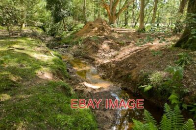 FOTO WARWICKSLADE SCHNEIDEN: DER NEUE STROM NIMMT GESTALT AN (SEQUENZBEGINN) HIER