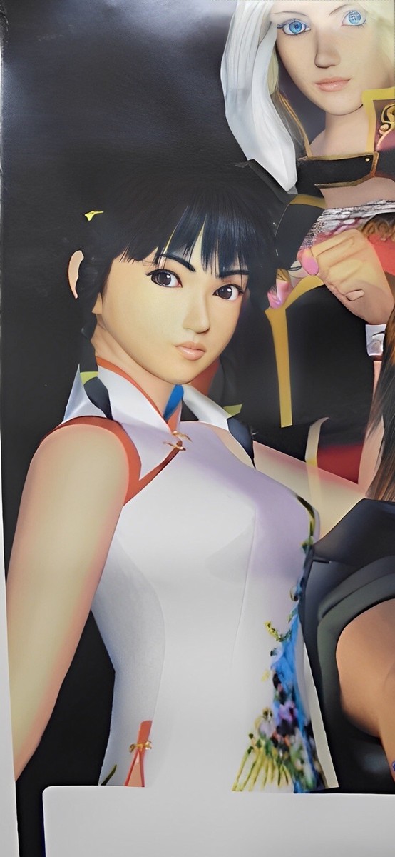 ポスター DEAD OR ALIVE 2　アイン＆レイファン　レイファン DEAD OR ALIVE 2 LEI-FANG レイファン アクションフィギュア