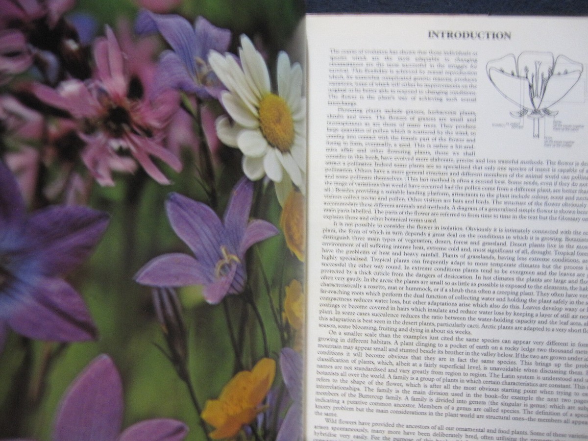 Wild Flowers (The Color Nature Library) [Hardcover] Seymour