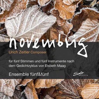 Ensemble funf&funf - Novembrig [Used Very Good CD]