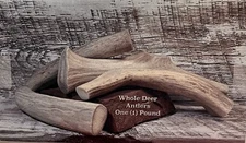 Deer Antler Dog Chews Natural Solid White/Brown Grade Sold by the Pound 