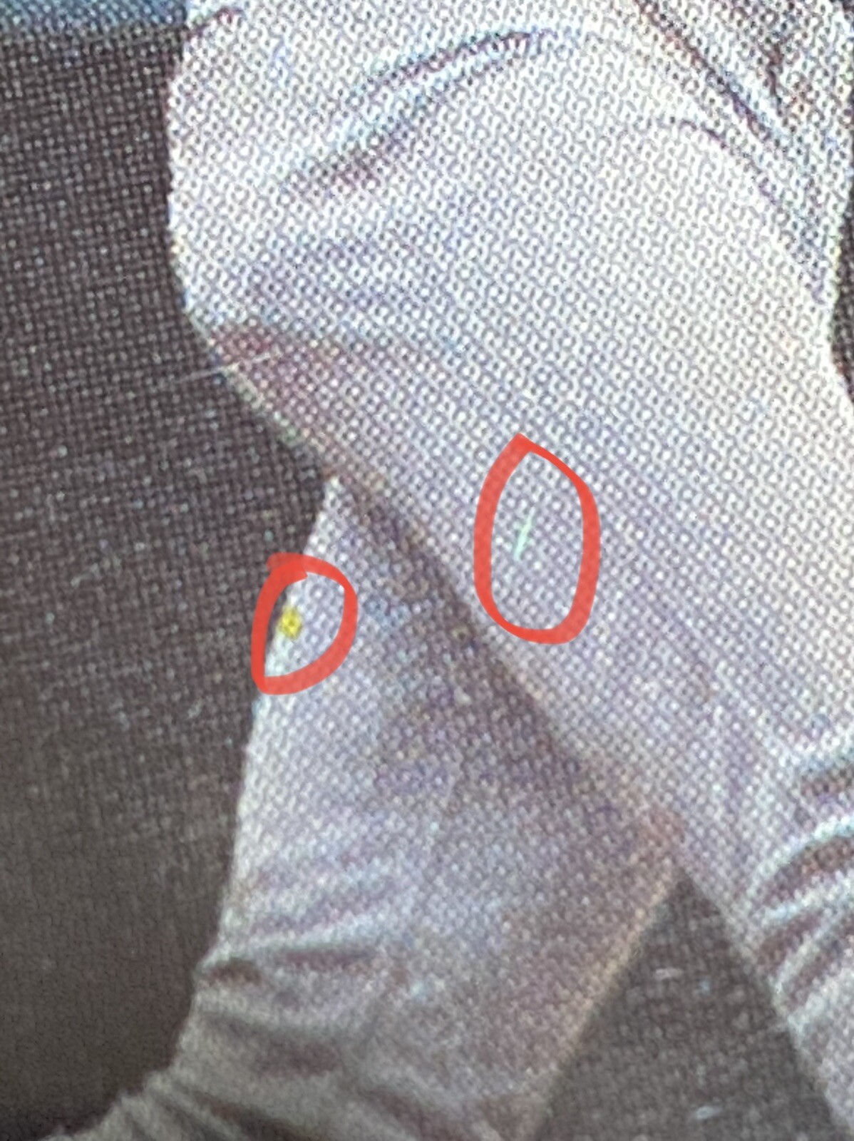 1987 Barry Bonds Topps RC Rookie Baseball Card #320 | Multiple Errors - Picture 11 of 24