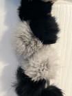 Bild 4 von 4