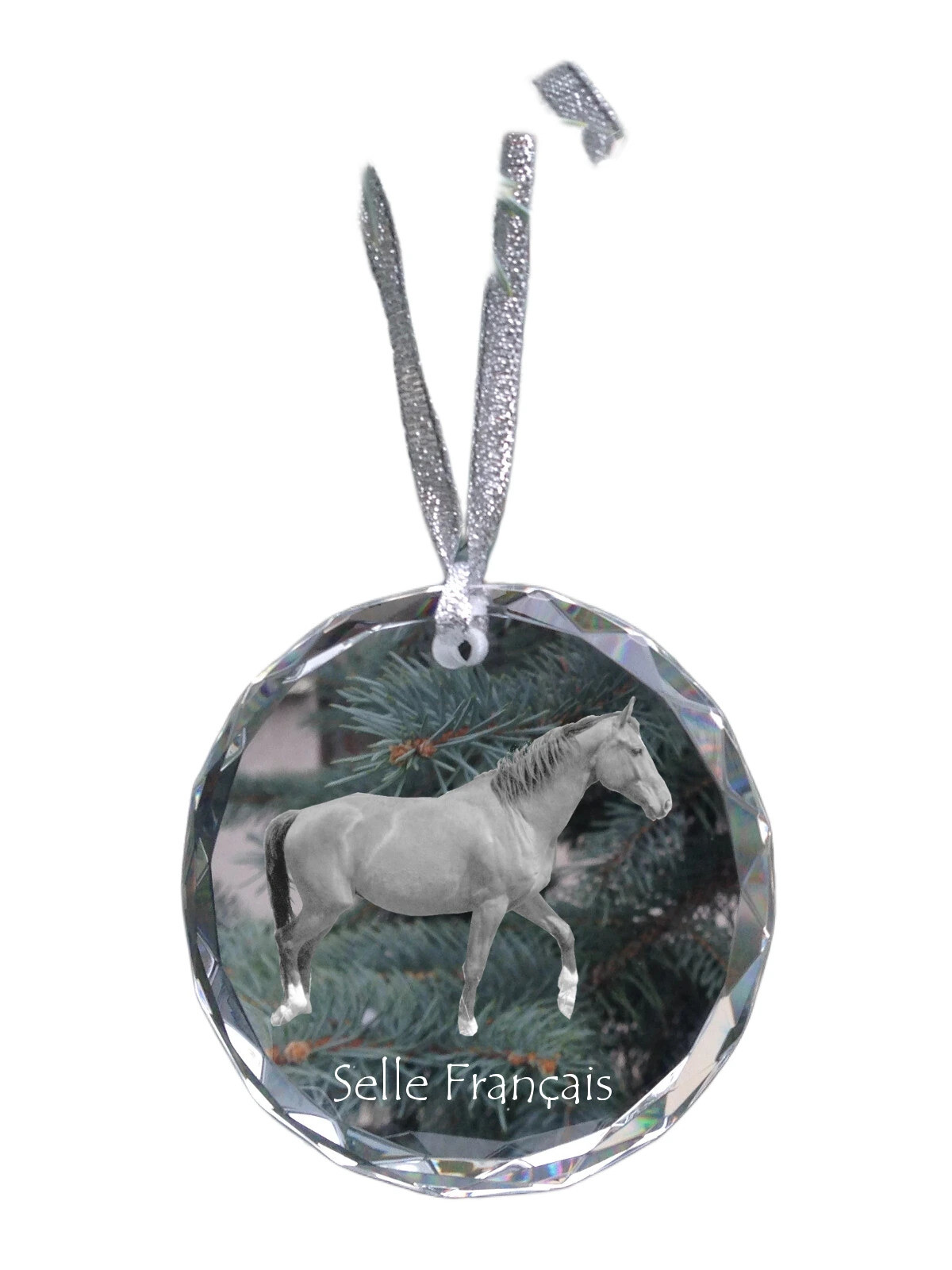 French Saddle - Crystal Ball With A Photo, Horse Photo In Crystal, Personalized