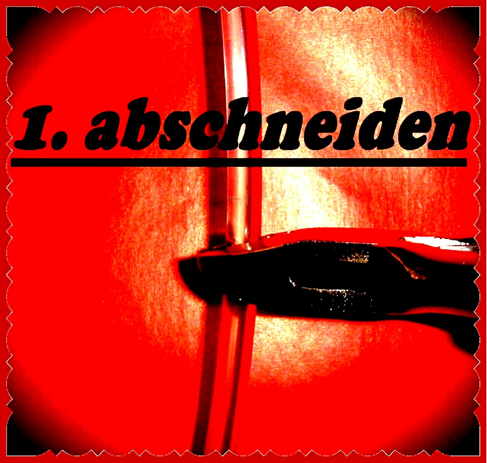 Bild 2 von 16