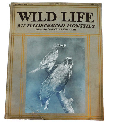 Wild Life old 1910s magazine Douglas English May 1913 Cuckoo gannet bird vintage
