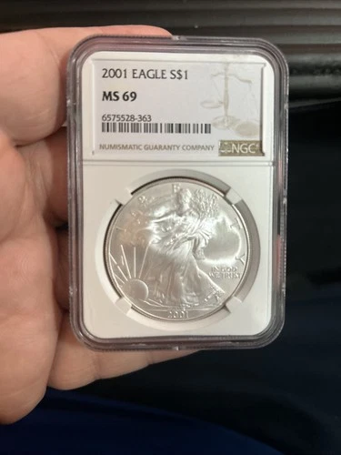 2001 Silver Eagle  NGC MS 69 Brown Label ~ PRISTINE ~ NO SPOTS (055)