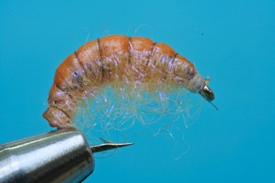 Fliegentom Nymphe 3 Stück Scud Nr. 8 - Flohkrebs / Gammarus orange/pink