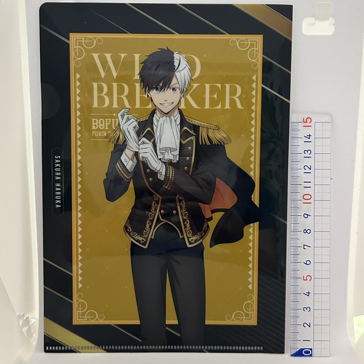 Windbreaker × FamilyMart Newly written A5 Clear File 