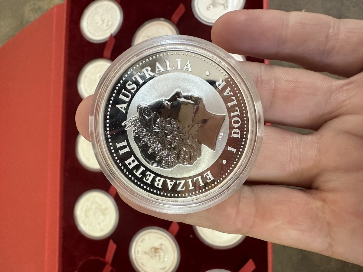 1999-2010 1oz Australia Silver Lunar Series 12 Coin SET | eBay