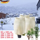 GARDENLAND Wintervlies Winterschutz Frostschutz für große Pflanzen Palme Palmen