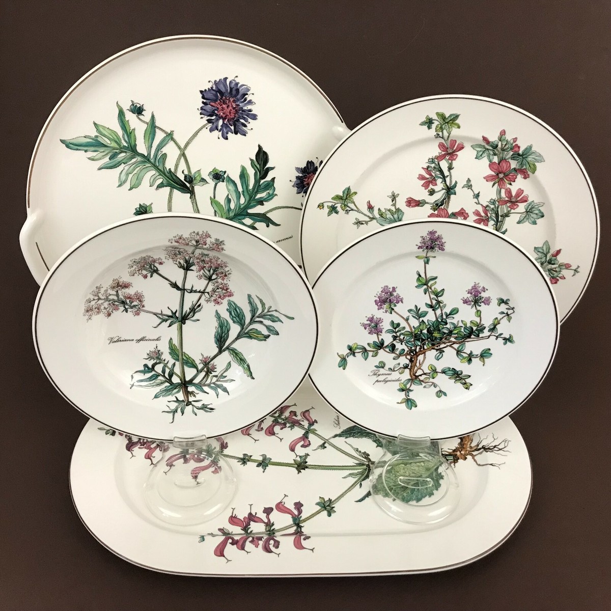 Villeroy Boch Botanica Soup Bowl Salad Dinner Plate Cake Plate