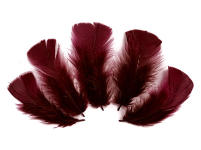 Olive Green Turkey T-Base Wholesale Flat Feathers Bulk Carnival Wedding 1//4 Lb