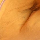 Bild 7 von 9