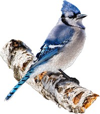 Madd Capp Games & Puzzles I Am Blue Jay 300 Piece Jigsaw Puzzle