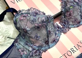 Victoria's Secret Unlined Hummingbird Shine Embroidery Demi Bra Thong Set Blue